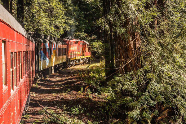 Noyo River Canyon | Skunk Train | Redwoods