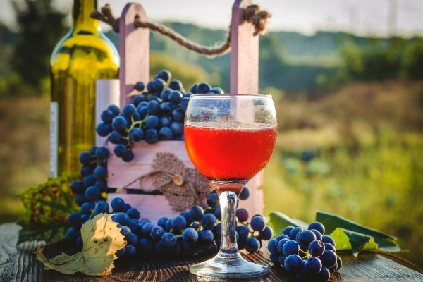 Mendocino Wineries | Wineries near Mendocino Redwoods RV Resort