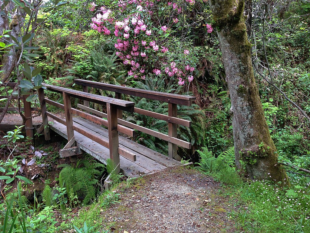 mendocino botanical gardens