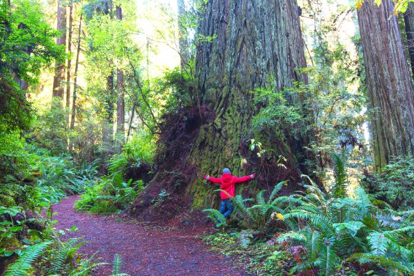 hiking with kids 