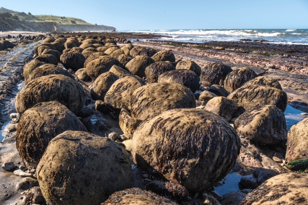 Bowling Ball Beach